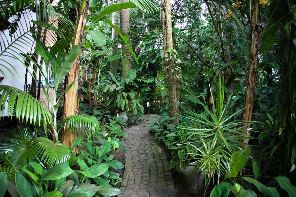 Hotel Pousada Burundanga à Itacaré Extérieur photo